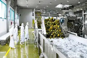 Memacu Pertumbuhan Ekonomi Nghe An: Mengandalkan Daya Dorong Perusahaan Domestik