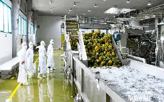 Memacu Pertumbuhan Ekonomi Nghe An: Mengandalkan Daya Dorong Perusahaan Domestik