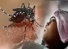 Waspada Demam Berdarah di Pekanbaru: 534 Warga Terjangkit, Satu Pasien Meninggal Dunia
