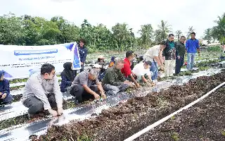 Dorong Ketahanan Pangan, Polbeng Terapkan Inovasi Pertanian Berbasis IoT di Bengkalis