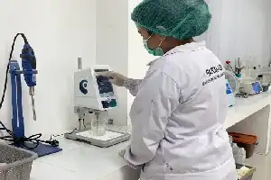 Inovasi Farmasi UPR: Olah Tanaman Tradisional Dawen Sawang Bahandang Jadi Nanogel Anti-Infeksi Kulit