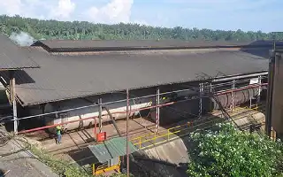 Tunggak Pajak Rp42 Miliar, Aset Perusahaan Sawit di Bandar Lampung Disita Negara