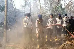 Atasi Karhutla, BRIN Kaji Inovasi Pemadaman Berbasis Pati Singkong