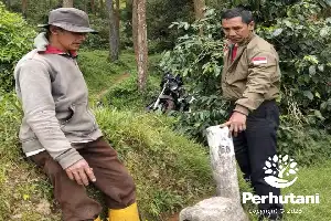 Perhutani dan LMDH Sumbing Lestari Bersama-sama Periksa Pal Batas Hutan di Temanggung