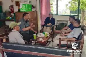 Perhutani Mantingan Matangkan Rencana Penebangan Sengon 2026 di BKPH Ngiri