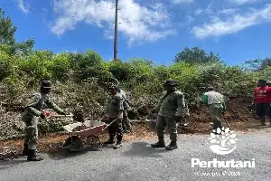 Jaga Aksesibilitas Wisata, Perhutani KPH Kedu Utara Bersihkan Jalur Hutan RPH Srandil