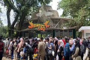 Pemkot Bandung Kawal Regulasi Pengelolaan Kebun Binatang, Target PKS Tuntas Juli