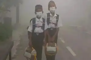 Karhutla Kalimantan: Kasus ISPA Meningkat, Anak-Anak dan Lansia Jadi Kelompok Paling Rentan
