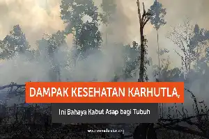Kemenkes Ingatkan Bahaya Kabut Asap Karhutla, Lonjakan Kasus ISPA Mulai Mengancam Warga
