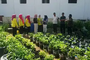 Dukung Kemandirian Pangan, Teknologi Irigasi Pintar FONi IPB Mulai Diterapkan di Kota Tasikmalaya