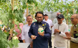 Kolaborasi Bapperida Subang dan POLSUB Tingkatkan Produktivitas Melon Lewat Teknologi Machida