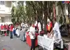 Pererat Kebersamaan, Universitas Pattimura Meriahkan HUT Ke-81 RI dengan Lomba Olahraga dan Kuliner Tradisional