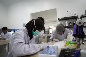 Siapkan Tenaga Diagnostik Medis Kompeten, UMKU Unggulkan Prodi D4 Teknologi Laboratorium Medis