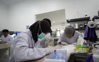 Siapkan Tenaga Diagnostik Medis Kompeten, UMKU Unggulkan Prodi D4 Teknologi Laboratorium Medis