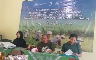 Dorong Petani Naik Kelas, Program Rojolele Reborn di Klaten Perkuat Teknologi dan Jaminan Pasar