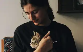 Studi Psikologi: Memelihara Kucing Ternyata Efektif Dukung Kesehatan Mental