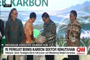 Dorong Ekonomi Hijau, Pemerintah Optimalkan Potensi Perdagangan Karbon Sektor Kehutanan