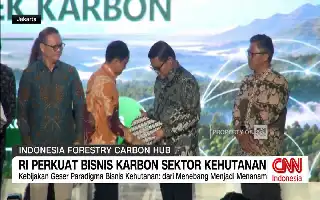 Dorong Ekonomi Hijau, Pemerintah Optimalkan Potensi Perdagangan Karbon Sektor Kehutanan