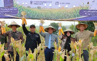 Dorong Swasembada, Kemenko Pangan dan Bayer Perkuat Produktivitas Jagung di Ponorogo