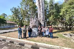 Wujudkan Visi 2045, Papua Tengah Sinergikan Pembenihan Bibit Unggul untuk Penghijauan