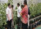 Kupas Tuntas Prodi Agribisnis UIN Jakarta: Integrasi Ilmu Pertanian dan Strategi Bisnis Modern