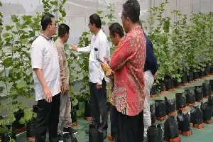 Kupas Tuntas Prodi Agribisnis UIN Jakarta: Integrasi Ilmu Pertanian dan Strategi Bisnis Modern