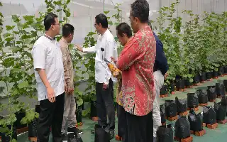 Kupas Tuntas Prodi Agribisnis UIN Jakarta: Integrasi Ilmu Pertanian dan Strategi Bisnis Modern