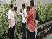 Kupas Tuntas Prodi Agribisnis UIN Jakarta: Integrasi Ilmu Pertanian dan Strategi Bisnis Modern