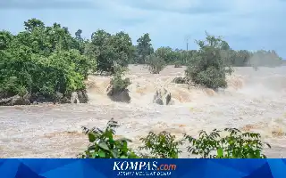 Banjir Bandang di Hengzhou Picu Teror Ular Berbisa dan Hewan Kebun Binatang yang Lepas