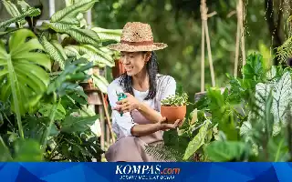Studi Baru Ungkap Rutin Berkebun Mampu Tingkatkan Kualitas Tidur
