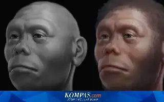 Studi Terbaru Ungkap Homo floresiensis Bukan Pemburu Gajah, Melainkan Pemulung Sisa Komodo