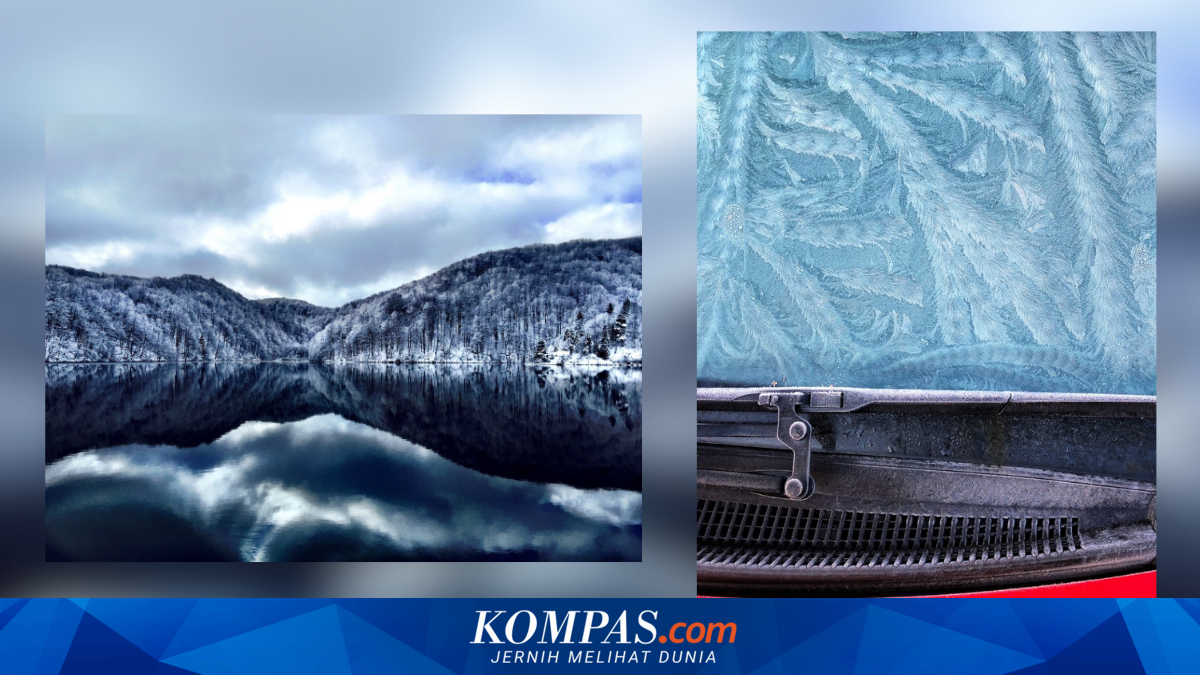 Bukan Sekadar Tren, iPhone Lawas Masih Mampu Mendominasi Kompetisi Fotografi Dunia