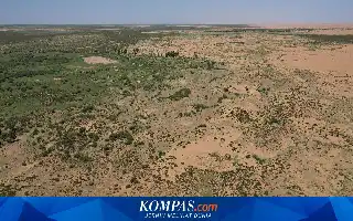 Studi Ungkap Proyek Tembok Hijau China Pacu Pertumbuhan Pohon Lebih Cepat dari Hutan Alami