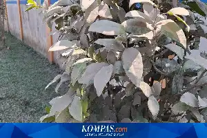 Imbas Polusi Debu Pekat, Warga Perbatasan Rancaekek-Cikancung Desak Penutupan Pabrik Beton