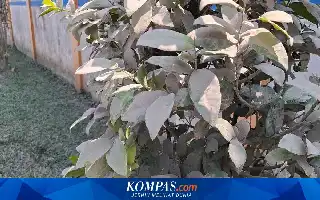 Imbas Polusi Debu Pekat, Warga Perbatasan Rancaekek-Cikancung Desak Penutupan Pabrik Beton