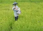 Studi: Kampanye Kesehatan Lebih Manjur Tekan Emisi Pertanian ketimbang Isu Perubahan Iklim