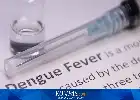 Kejar Target Nol Kematian Dengue 2030, Pemerintah Perluas Penggunaan Nyamuk Wolbachia