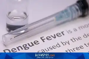 Kejar Target Nol Kematian Dengue 2030, Pemerintah Perluas Penggunaan Nyamuk Wolbachia