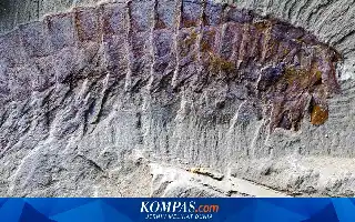 Fosil Berusia 518 Juta Tahun di China Ungkap Asal-Usul Evolusi Taring Laba-laba