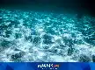 Peran Vital Pusaran Air Laut Dalam yang Terabaikan dalam Model Prediksi Iklim Global