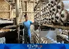 Dongkrak Ekonomi Lewat Budidaya Jamur Tiram Ramah Lingkungan di Pangandaran