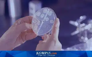Tekan Dampak Pandemi Senyap AMR, Pfizer Indonesia Rilis Inovasi Terapi Baru Berizin BPOM