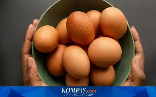 Studi Baru: Konsumsi Telur Secara Teratur Terbukti Dukung Kesehatan Kognitif Lansia