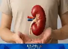 Menepis Kekhawatiran Transplantasi Ginjal: Pendonor Tetap Sehat dan Pemulihan Pasien Kini Bisa di Rumah
