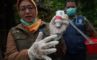 Stok Vaksin PMK Menipis, Dinas Pertanian Kulon Progo Ajukan Tambahan Dosis ke Pusat