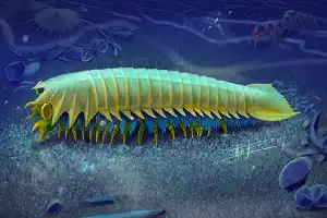 Jejak Evolusi Predator: Ilmuwan Temukan Fosil Cikal Bakal Taring Laba-laba Berusia 518 Juta Tahun