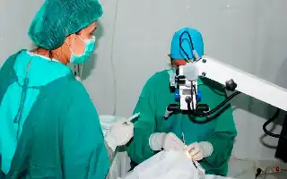 Kematian Tragis Dokter di NTT Memicu Percepatan Perpres Perlindungan Tenaga Medis
