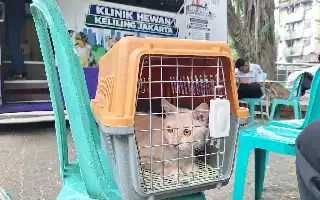 Wujudkan Jakarta Ramah Hewan, Mobil Klinik Keliling Sasar Kesehatan Peliharaan di Permukiman