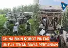 Inovasi Teknologi Tiongkok: Robot Pintar Berbasis AI Diluncurkan demi Efisiensi Biaya Sektor Pertanian