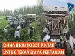 Inovasi Teknologi Tiongkok: Robot Pintar Berbasis AI Diluncurkan demi Efisiensi Biaya Sektor Pertanian